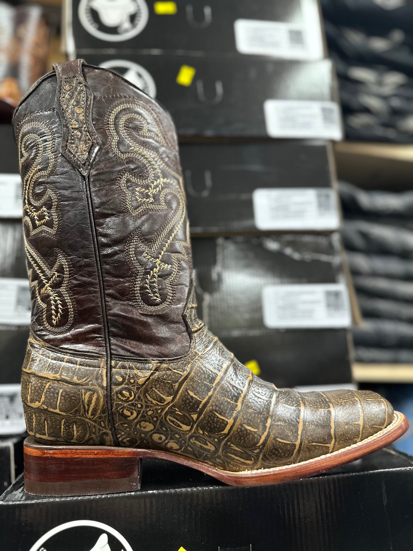 VAQUERO COCO LOMO GRABADO