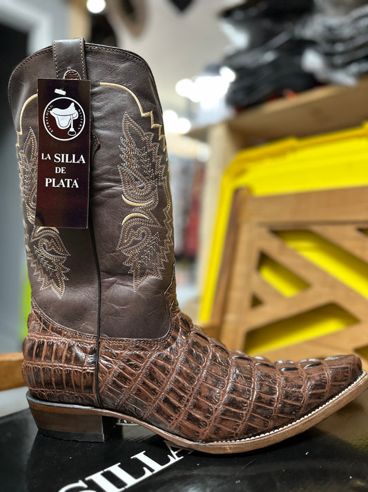 HORMA CHICHUAHUA CAFE