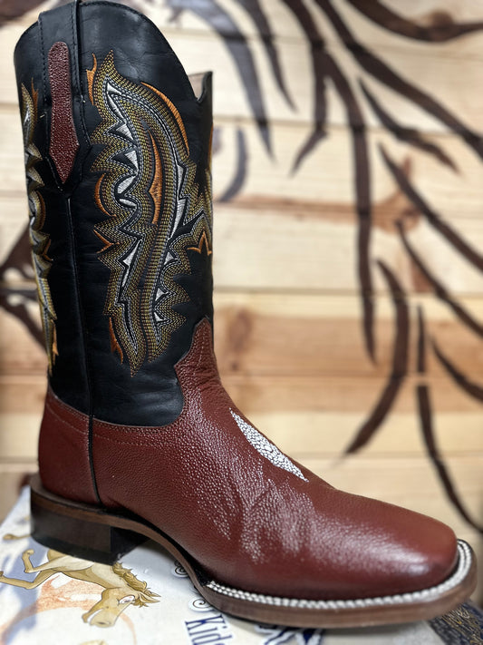 HORMA/BULL DOG MANTARRAYA